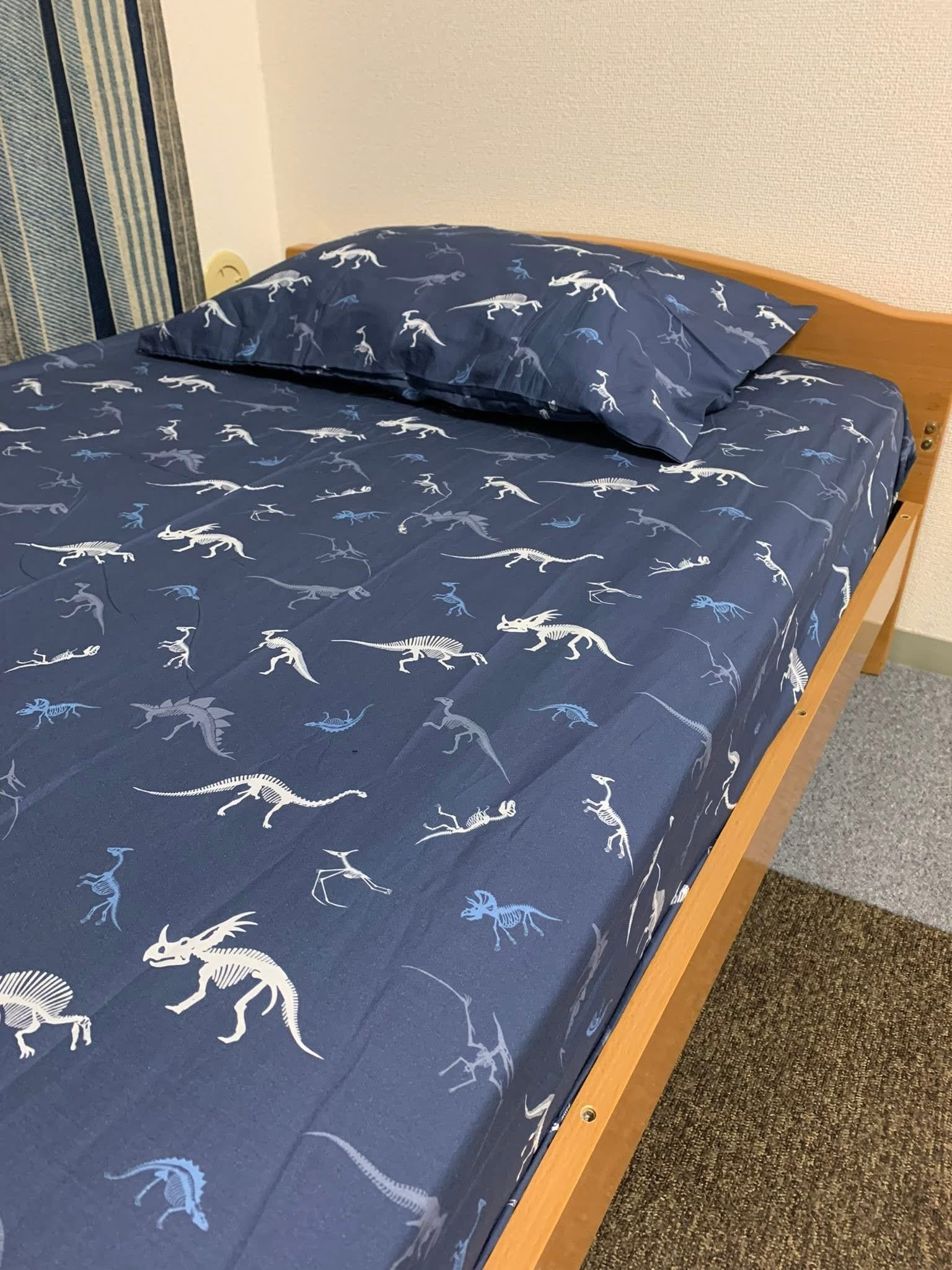 Dinosaur Remains