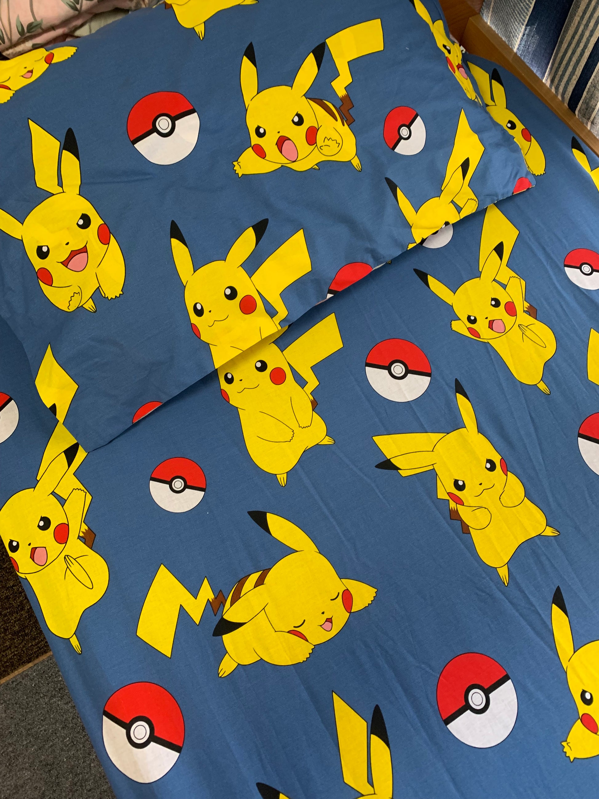 Pokémon Mania