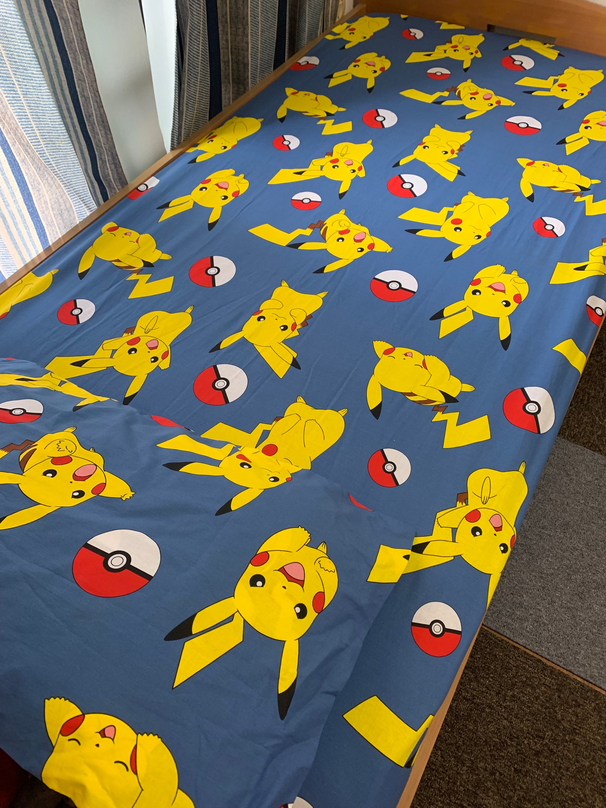 Pokémon Mania