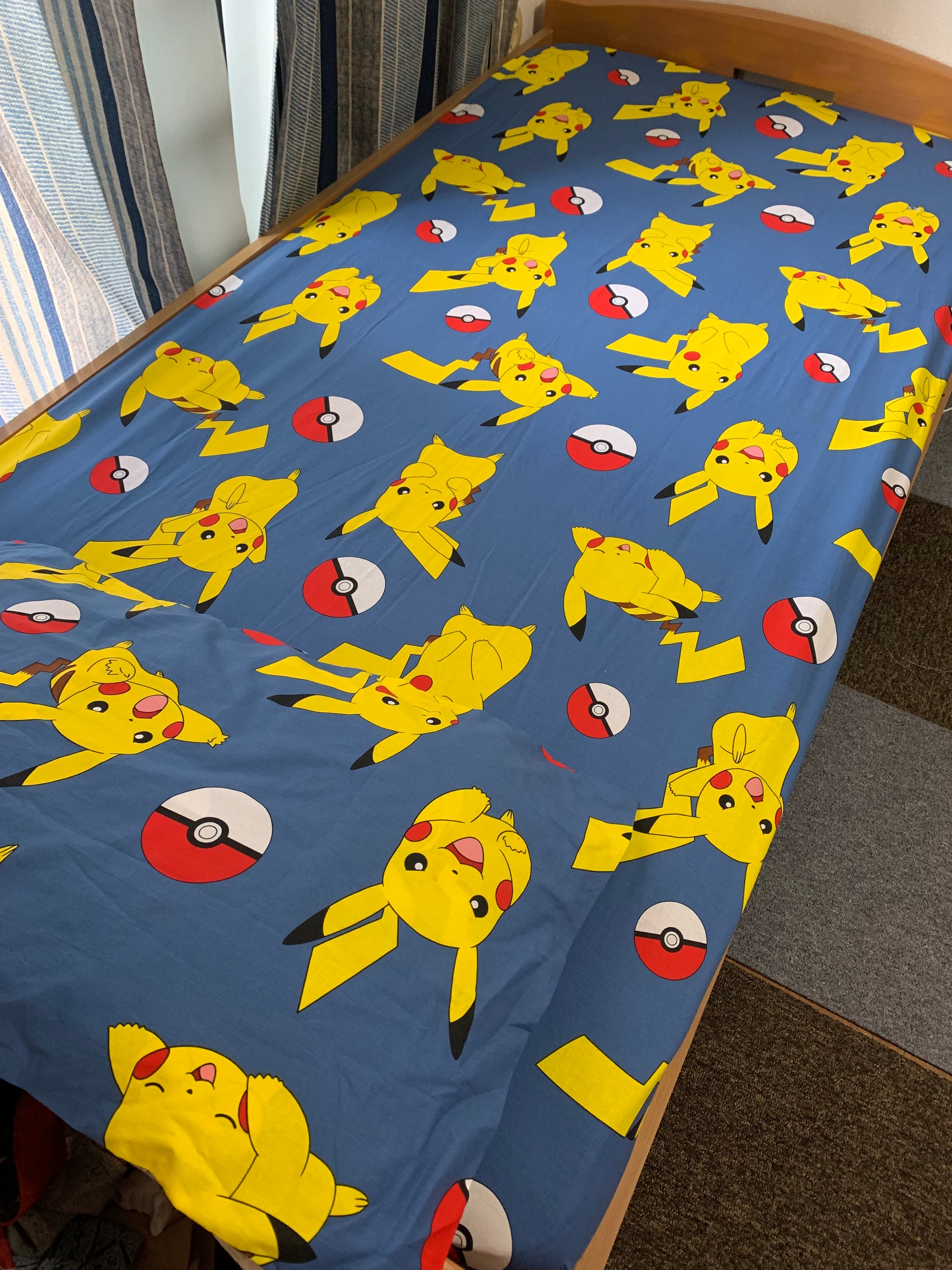 Pokémon Mania