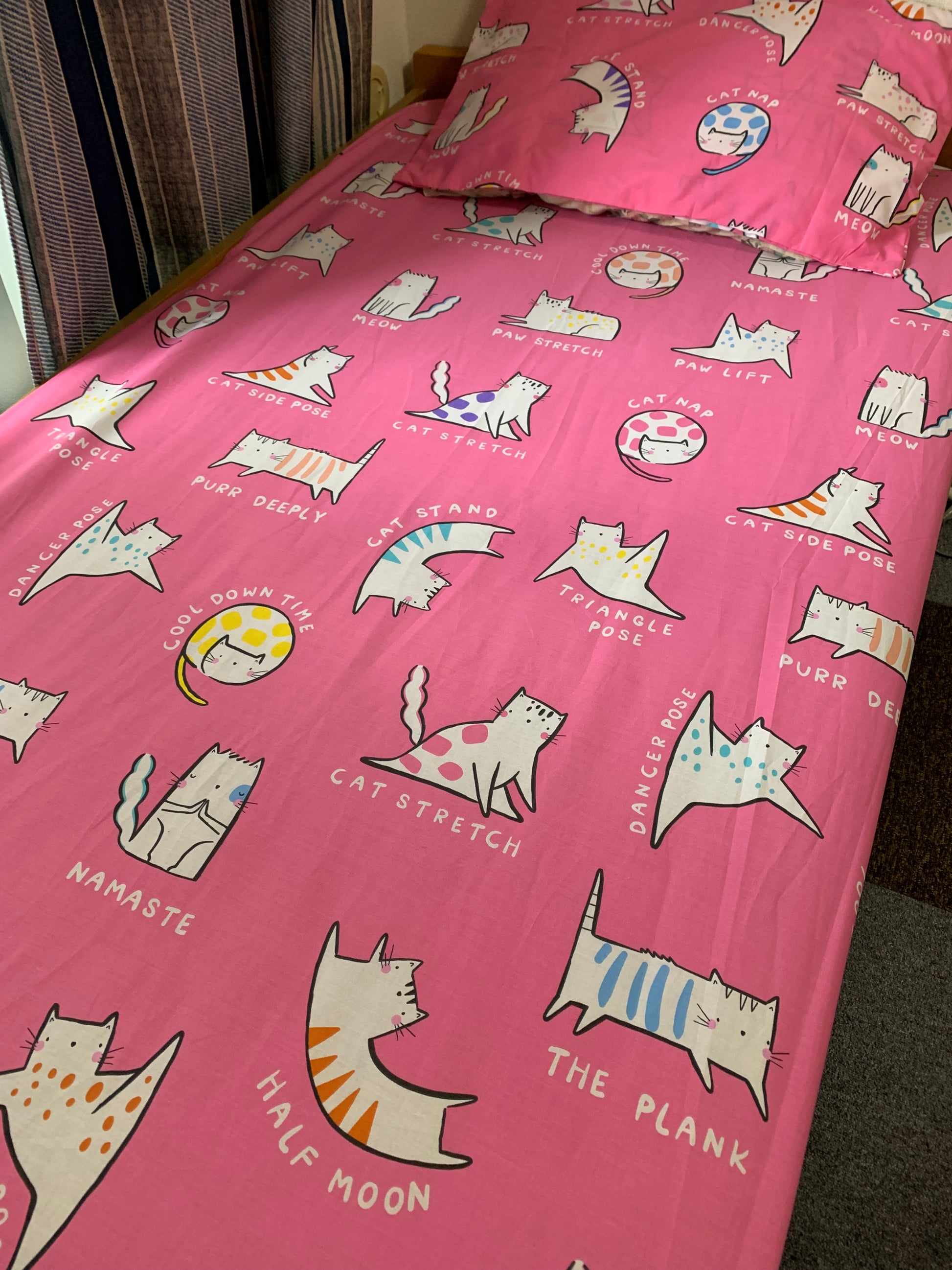 Cat in Yoga