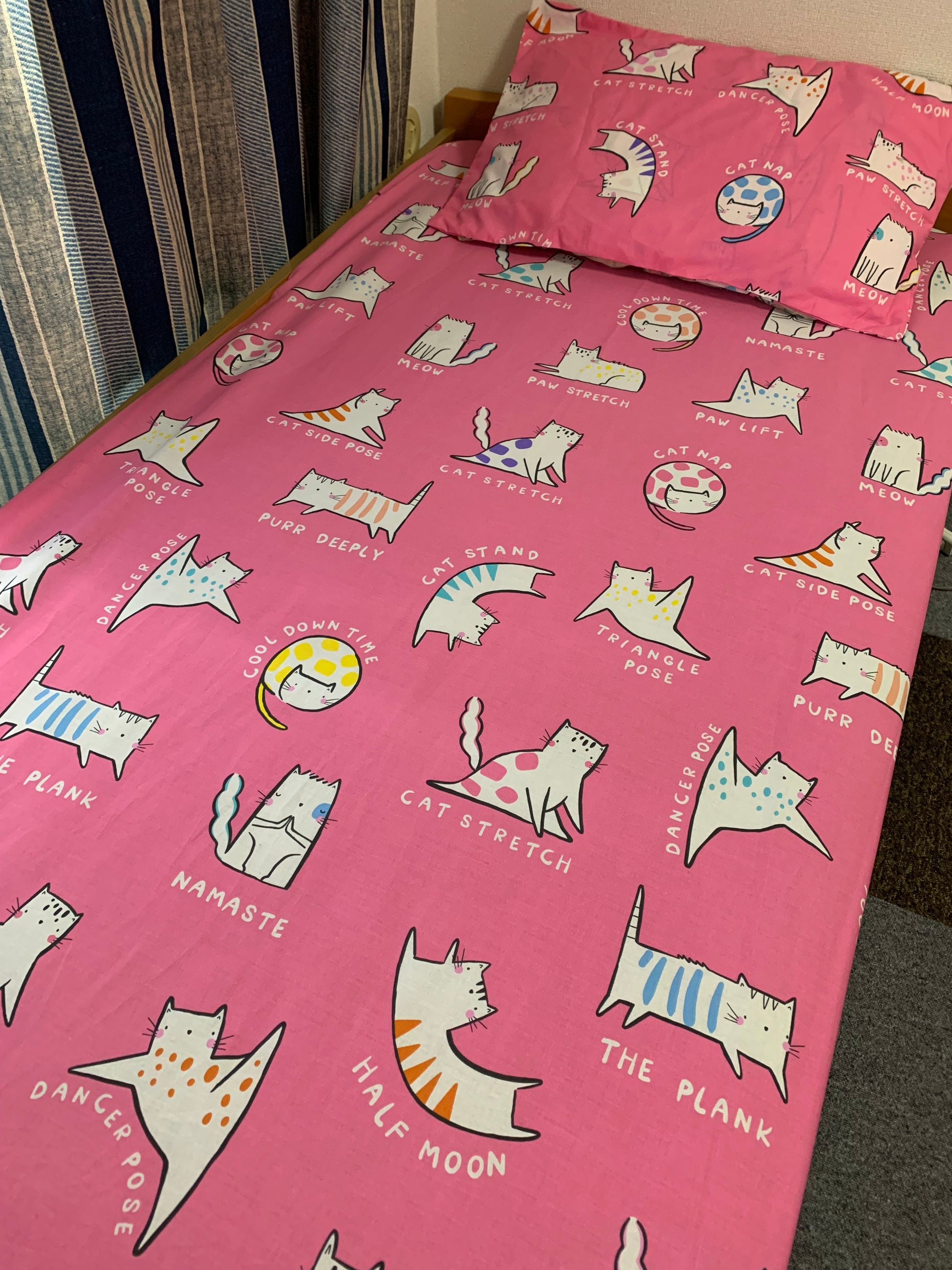Cat in Yoga