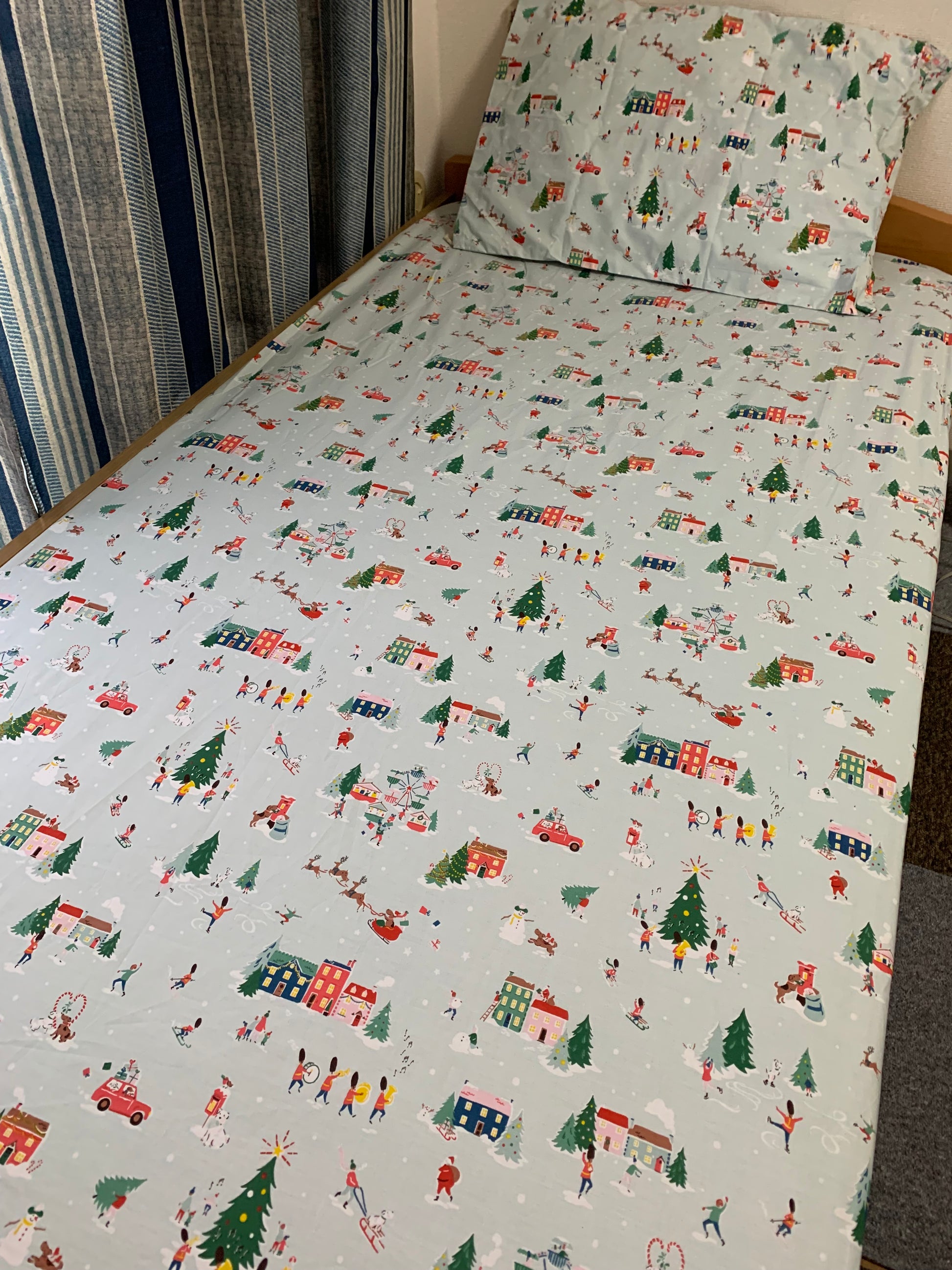 Holiday Season in the Woods